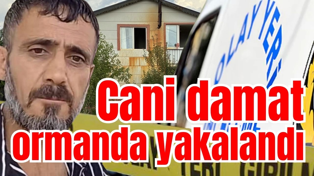Antalya'da cani damat ormanda yakalandı 
