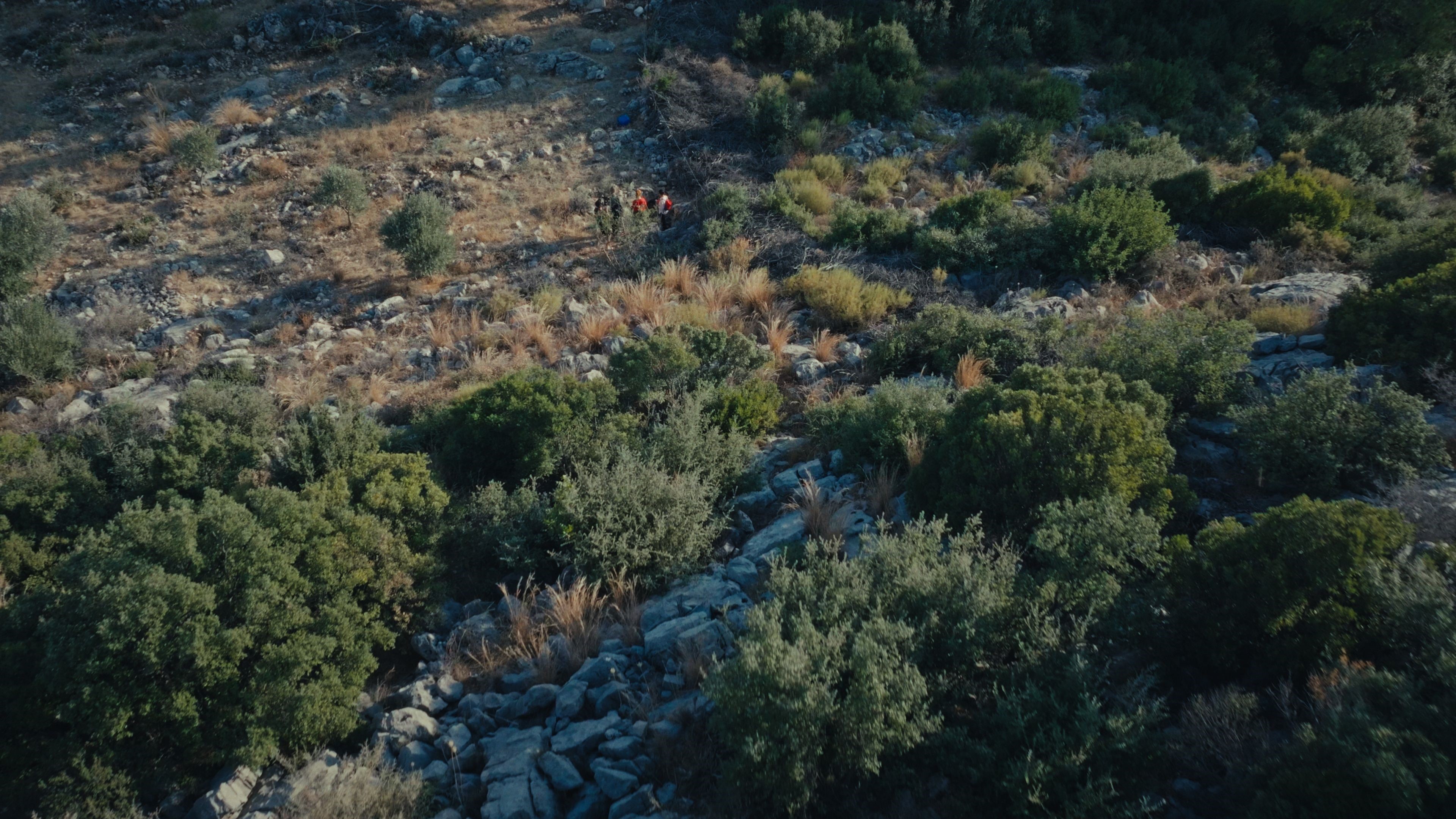 aw79801403-022333