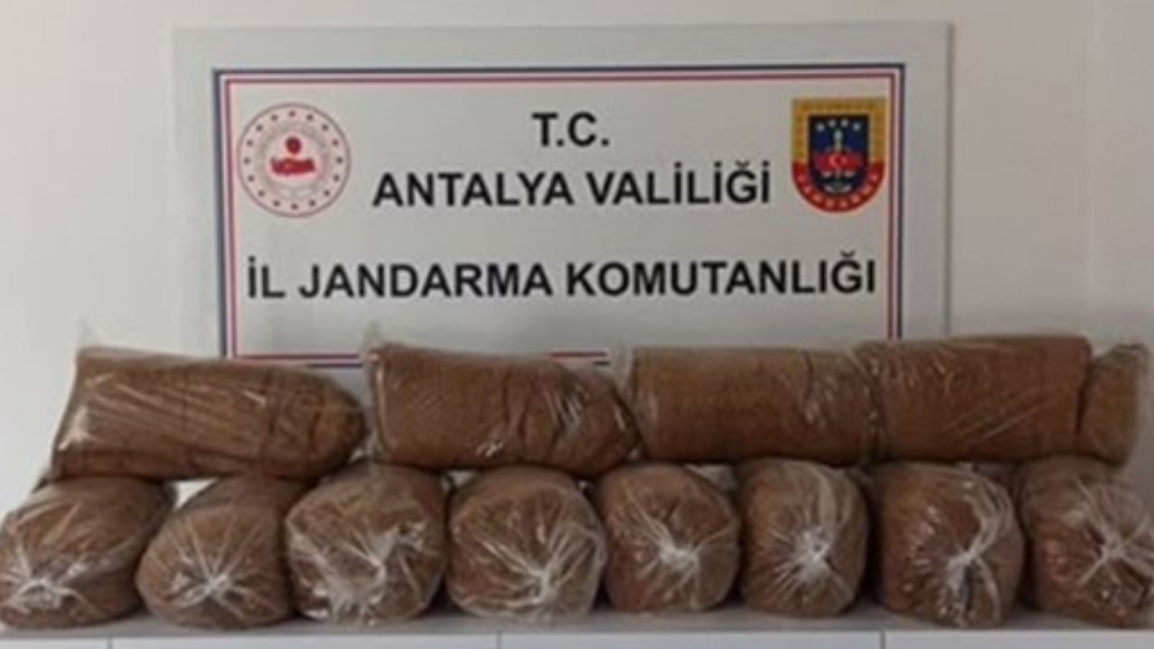 Antalya'da 151 kilo kaçak kıyılmış tütün ele geçirildi