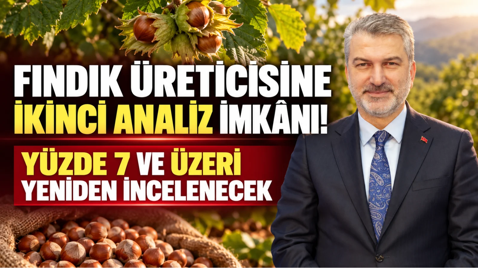 TMO’da fındık için ikinci analiz imkânı: Yüzde 7 detayı