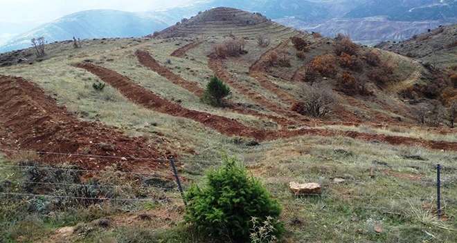 1,5 milyon fidan toprakla buluştu