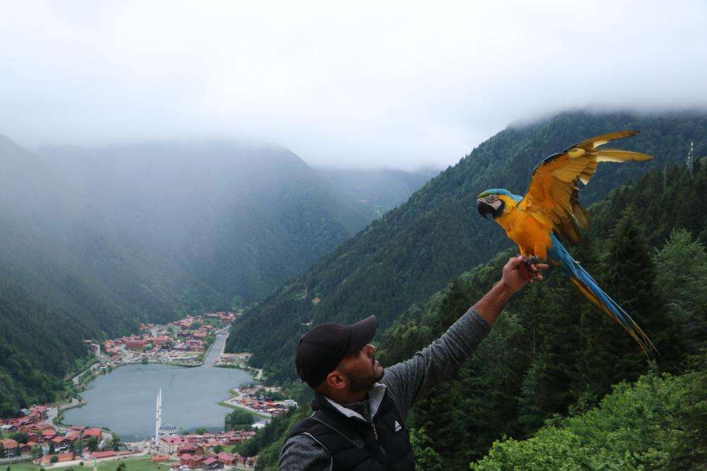 Uzungöl salgın öncesi günlerine dönmeye hazırlanıyor