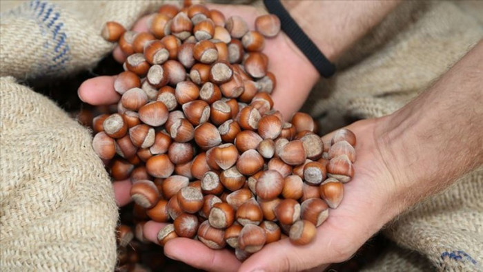 Değişken rekolteler tüketici ve sanayicileri zora sokuyor