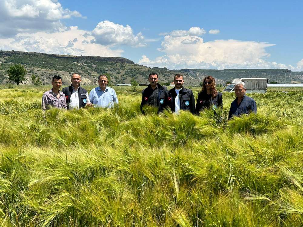 Manisa Belediyesi çiftçiye çok destek veriyor