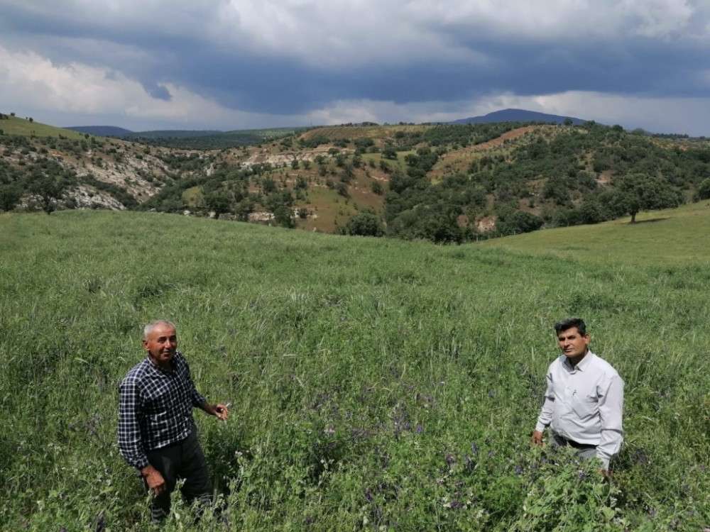 Manisa’lı çiftçiye kendi yemini kendin üret projesiyle destek geliyor