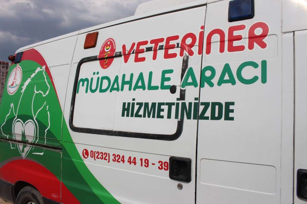 Ege’de yorgun martılara uzanan şevkatli eller