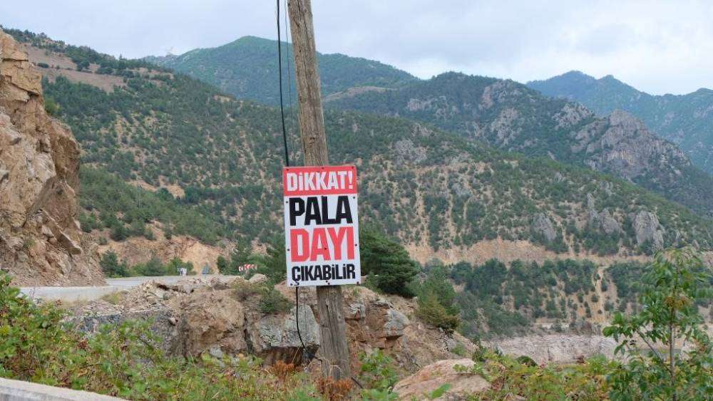Gümüşhane’de “Dikkat Pala Dayı Çıkabilir” yazılı uyarı tabelası sürücüleri şaşırtıyor
