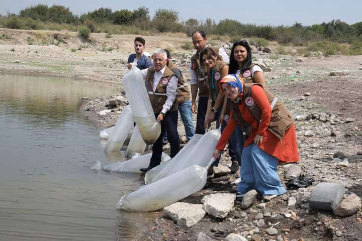 890 bin pullu sazan balığı yavrusu baraj gölü ve göletlerle buluştu