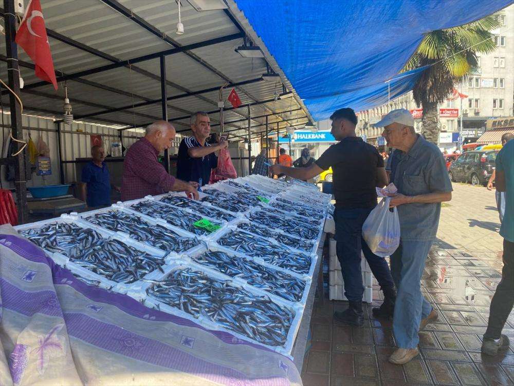 Deniz suyunun sıcaklığı balık miktar ve fiyatını olumsuz etkiliyor