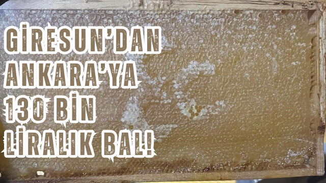 Giresun’dan Ankara’ya 130 bin liralık bal! 