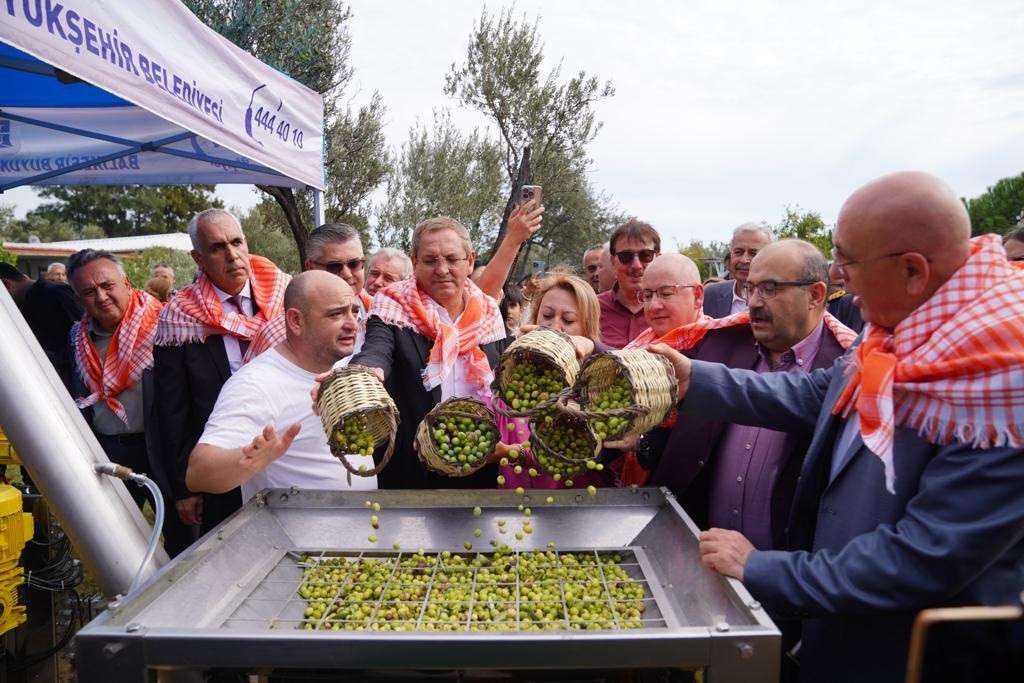 Ayvalık’ta ilk hasat ve zeytinyağı sıkımı gerçekleşti