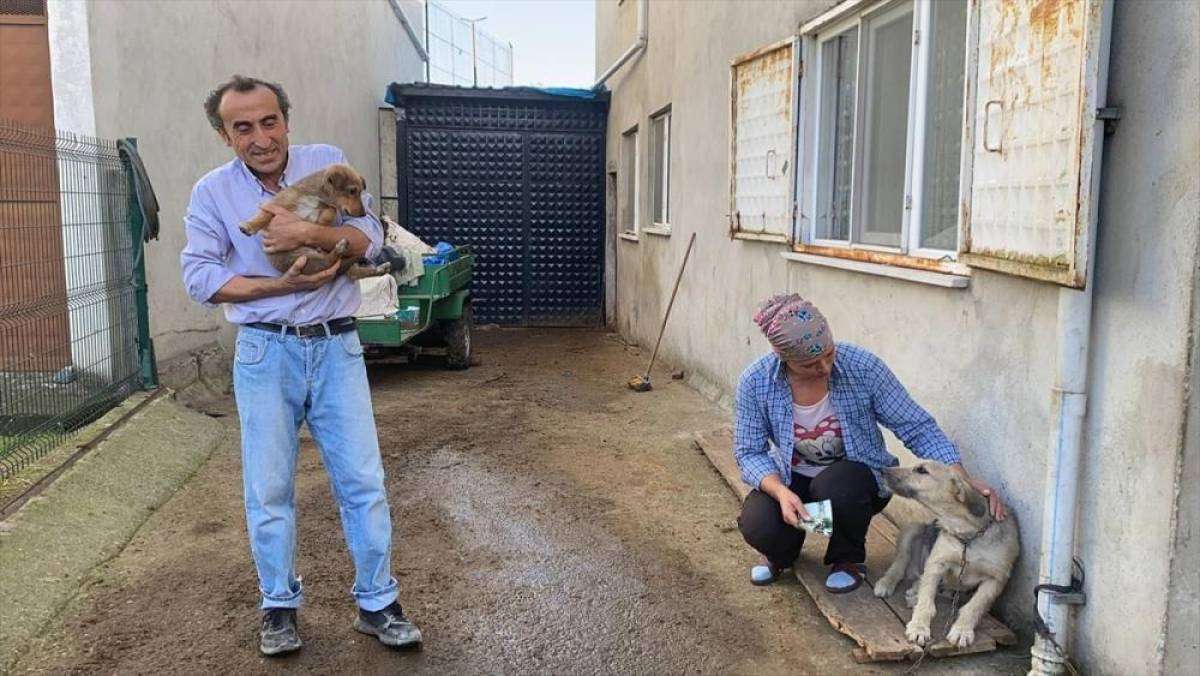 Zonguldak'ta köpeğin darbedilerek öldürüldüğü iddiası