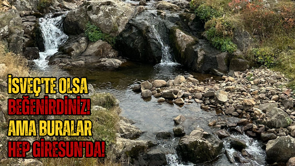 İsveç'te olsa beğenirdiniz! Ama buralar hep Giresun'da!