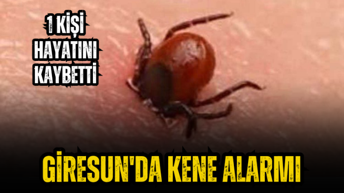 Giresun’da kene alarmı! 1 kişi hayatını kaybetti...
