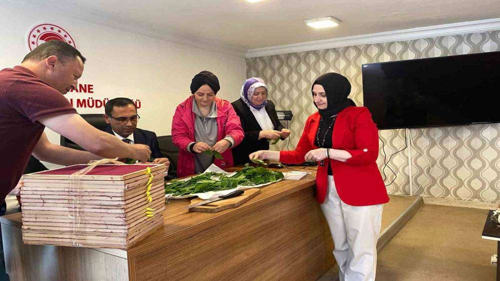 İpek böceği larvaları üreticilere teslim edildi