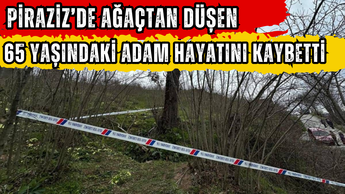 Piraziz’de Ağaçtan Düşen 65 Yaşındaki Adam Hayatını Kaybetti