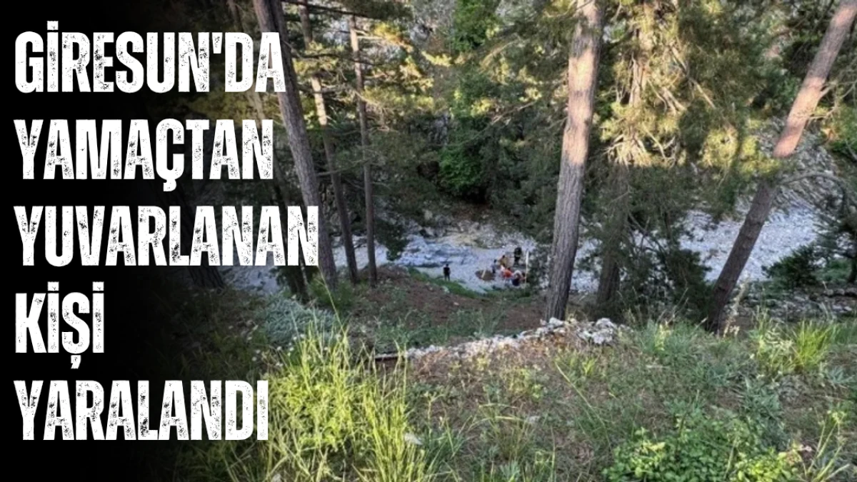 Giresun'da yamaçtan yuvarlanan kişi yaralandı