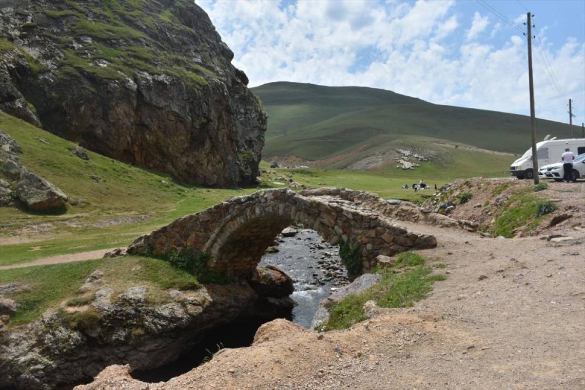 Gümüşhane'deki "Taşköprü Yaylası" doğaseverlerin uğrak noktası oldu