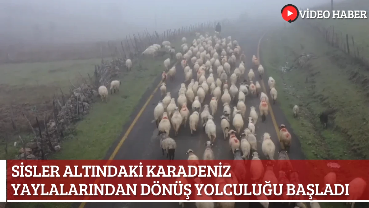 Sisler altındaki Karadeniz yaylalarından dönüş yolculuğu başladı