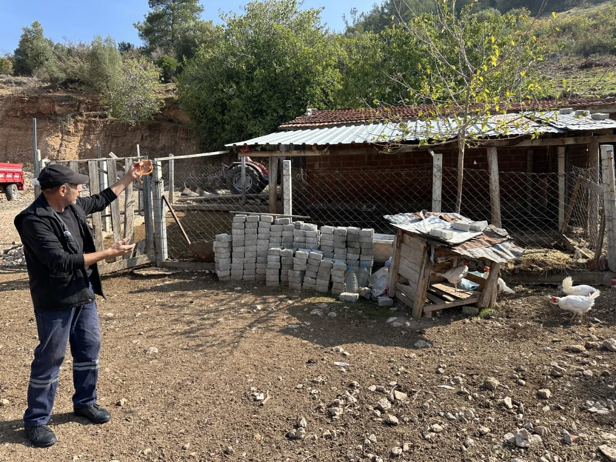 Kozanlı’da Cimer Şikayeti Köylüleri Kızdırdı: “Burası Köy, Şehir Değil”