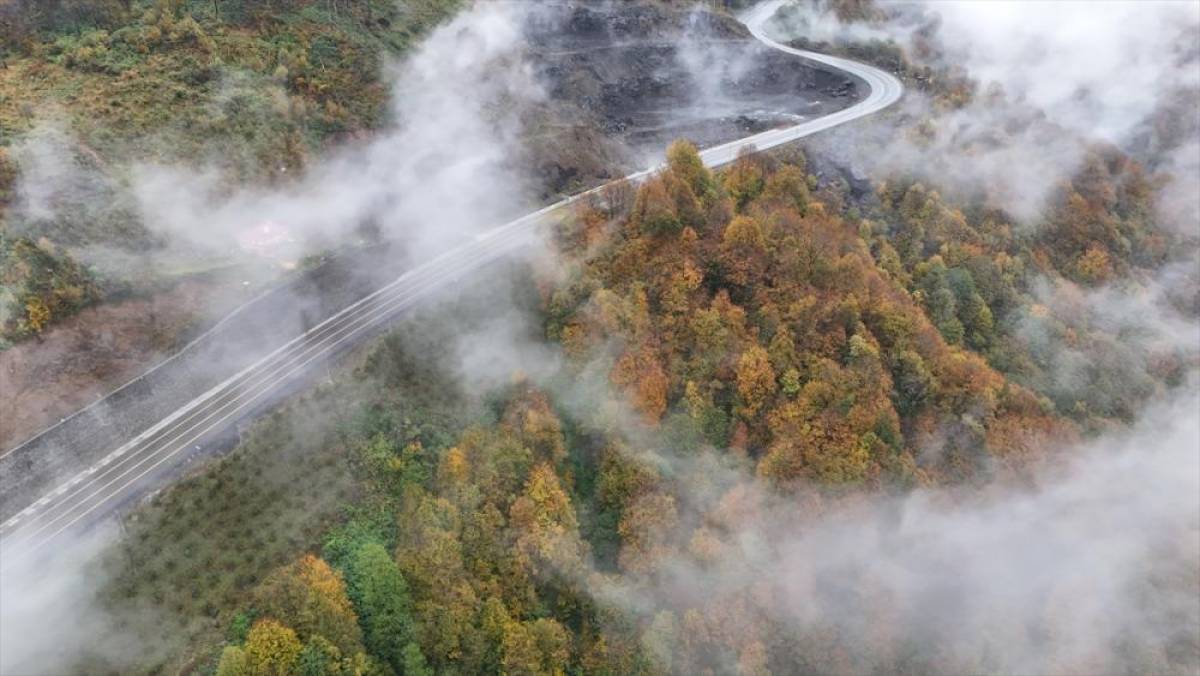 Ordu'da etkili olan sis sonbahar renkleriyle güzel görüntü oluşturdu