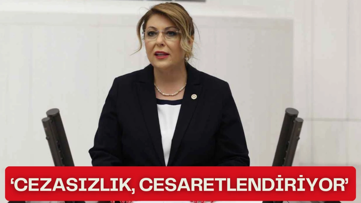 ‘Cezasızlık  cesaretlendiriyor’