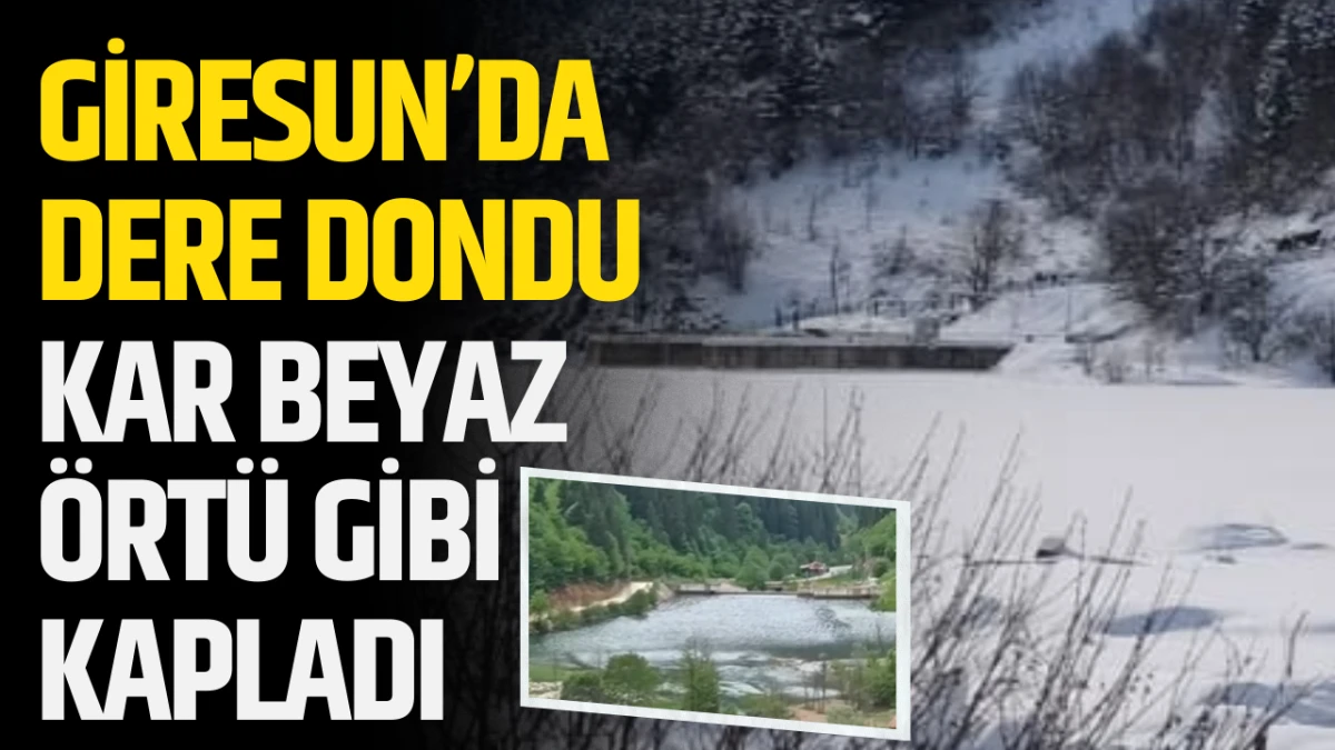 Giresun’da dere dondu! Kar beyaz örtü gibi kapladı