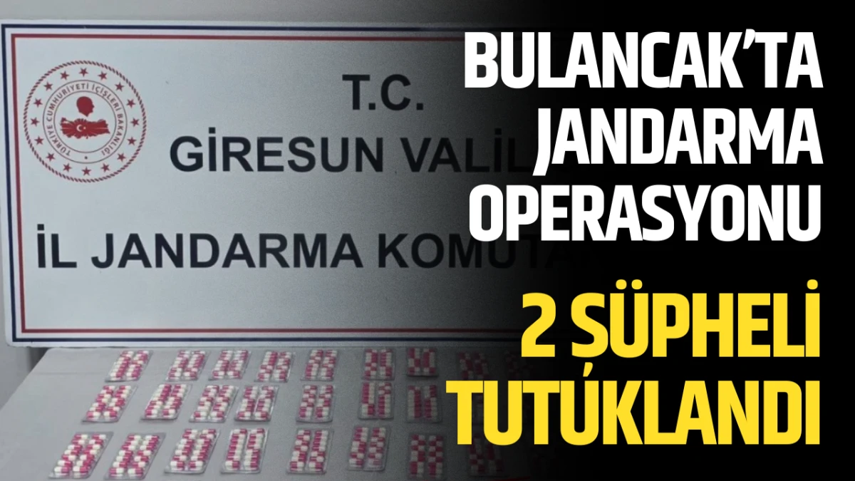 Bulancak’ta Jandarma Operasyonu, 2 Şüpheli Tutuklandı