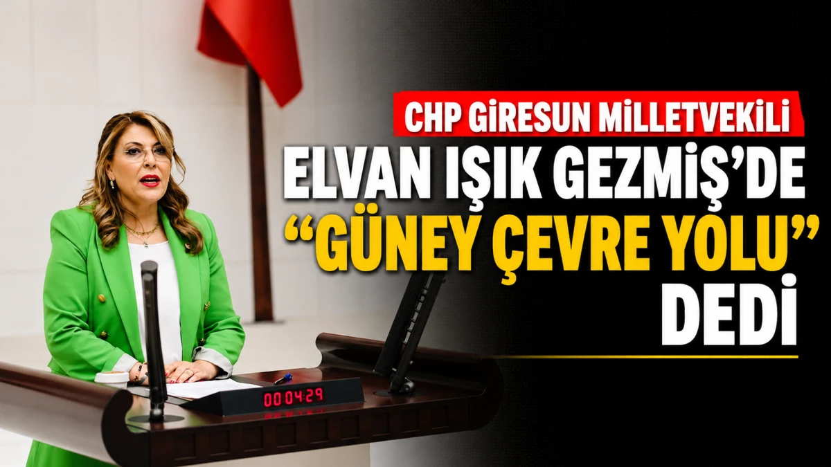 CHP Giresun Milletvekili Elvan Işık Gezmiş de "Güney Çevre Yolu" dedi