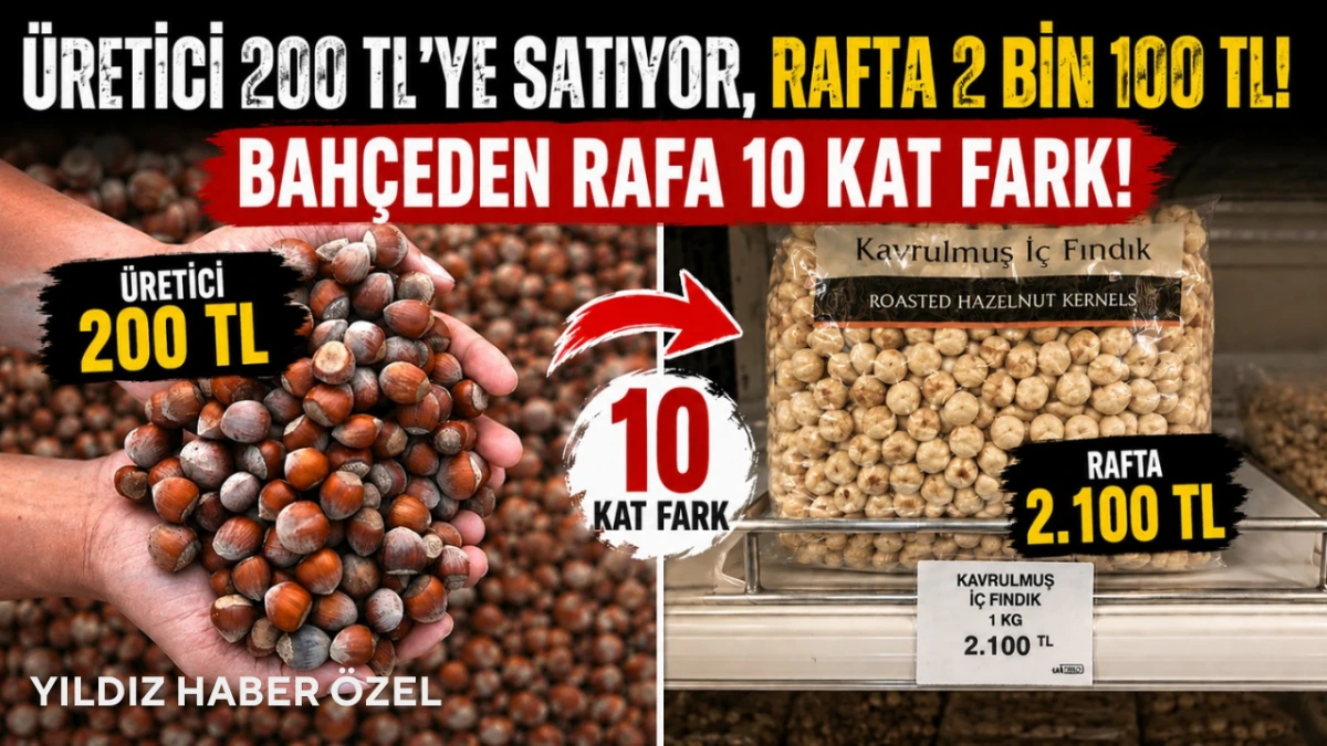 Fındıkta büyük uçurum! Bahçeden rafa 10 kat fark