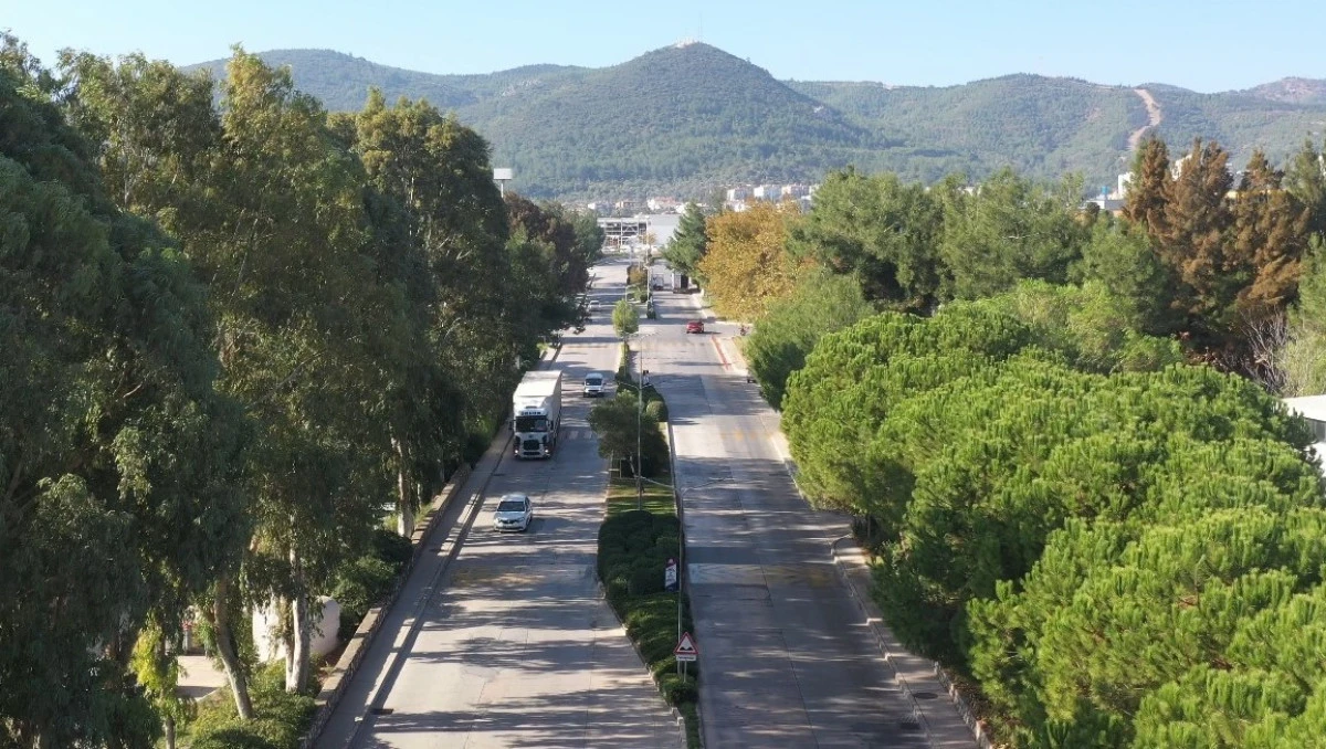 ESBAŞ, çevreci yatırımla 8 bin ağaç kurtardı 