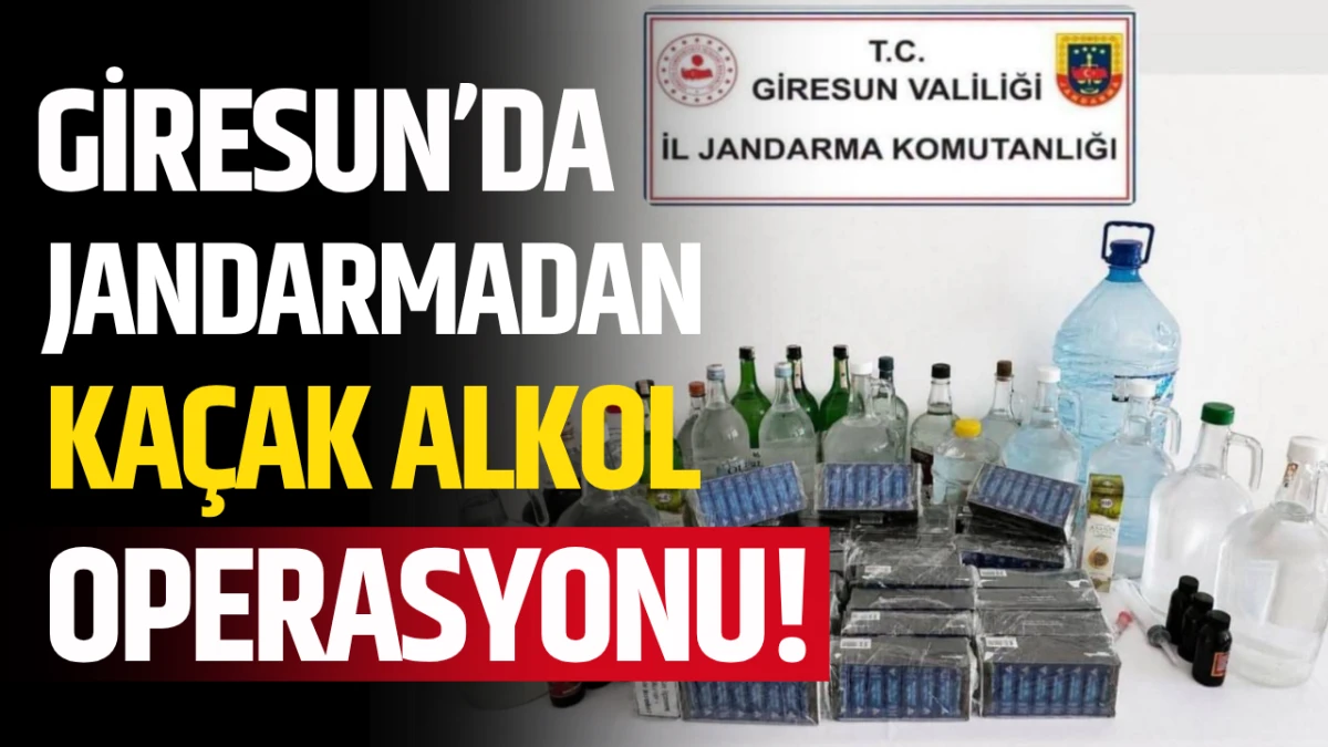 Giresun’da jandarmadan kaçak alkol operasyonu!