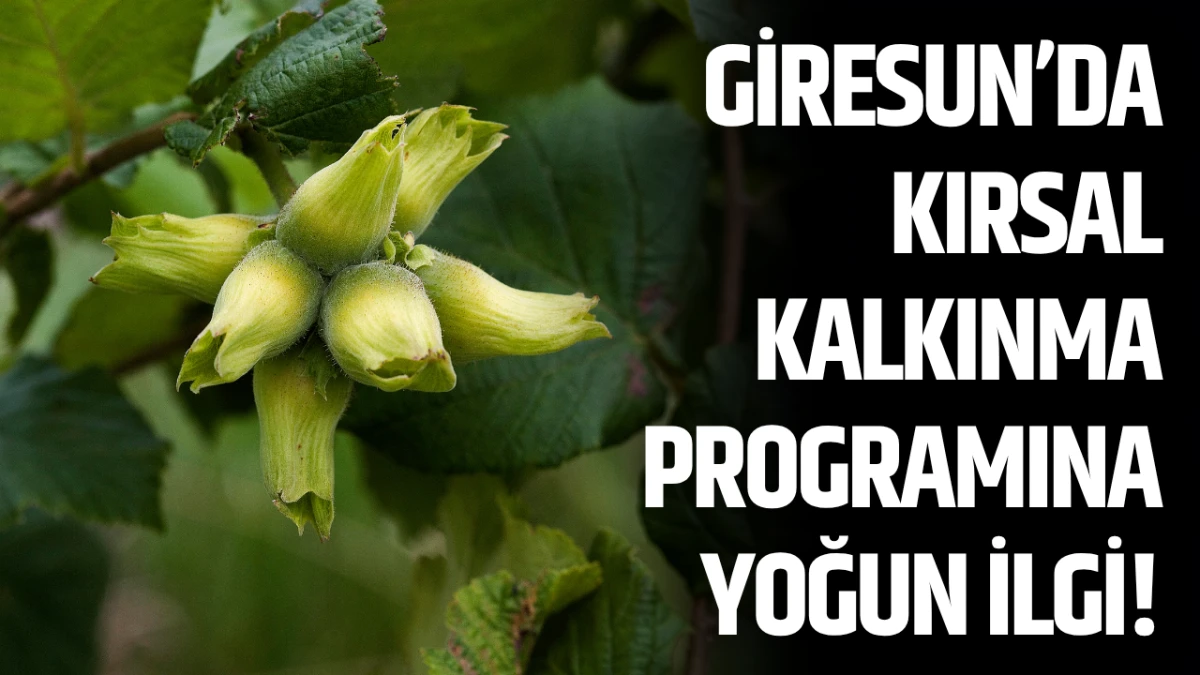 Giresun’da Kırsal Kalkınma Programına Yoğun İlgi!