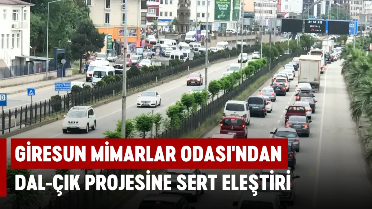 Giresun Mimarlar Odası'ndan Dal-Çık Projesine sert eleştiri