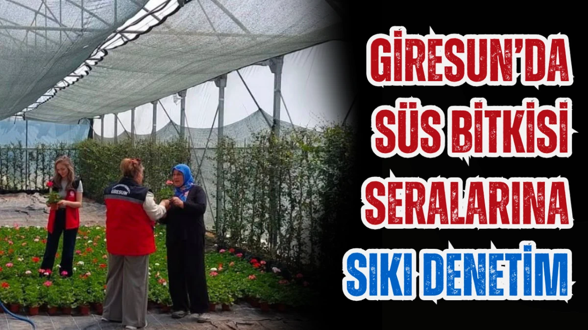 Giresun’da süs bitkisi seralarına sıkı denetim