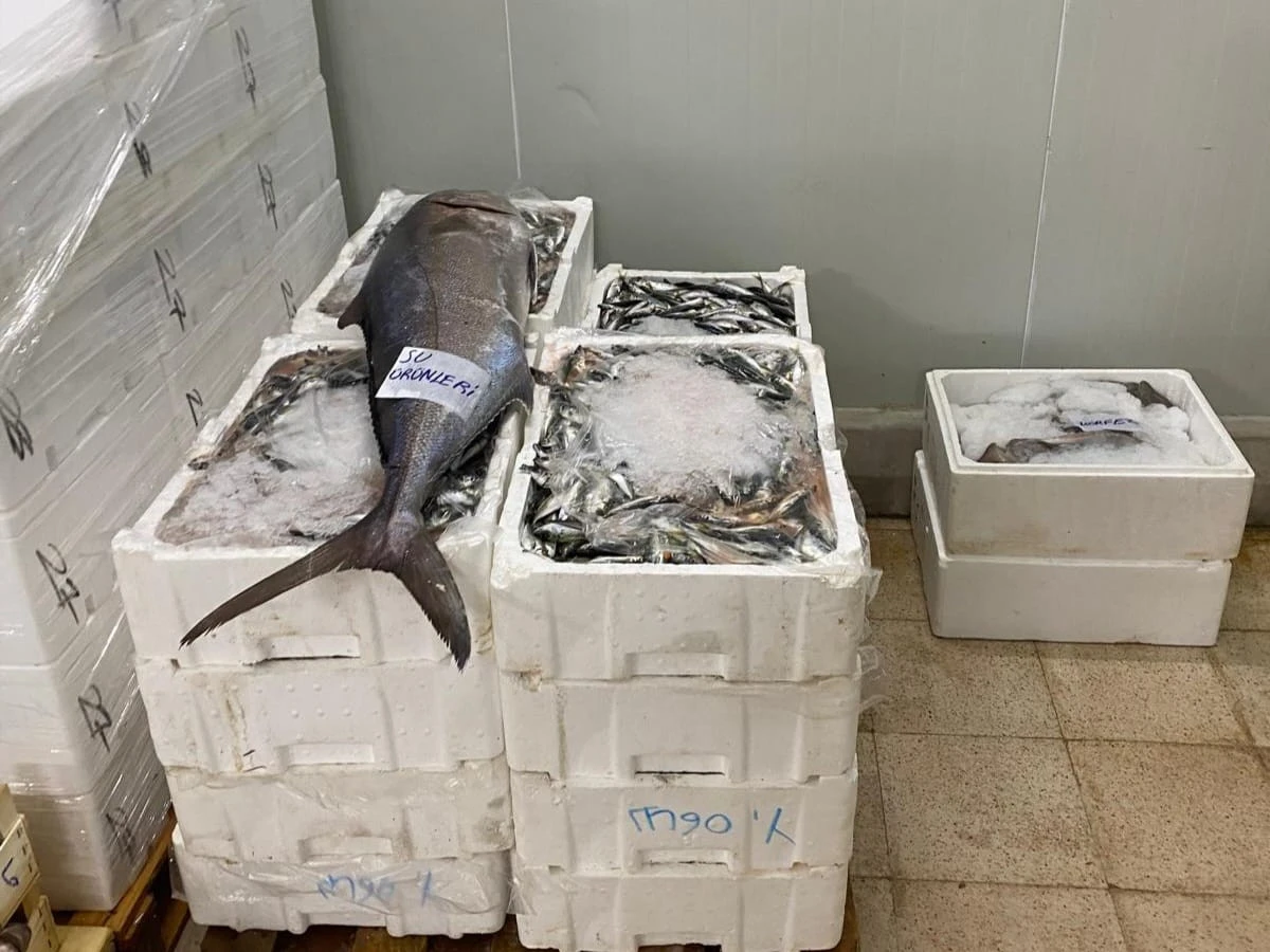 İzmir su ürünleri ekipleri kaçak deniz ürünleri stokçularının peşinde