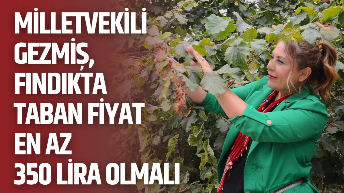 Milletvekili Gezmiş: Fındıkta taban fiyat en az 350 lira olmalı