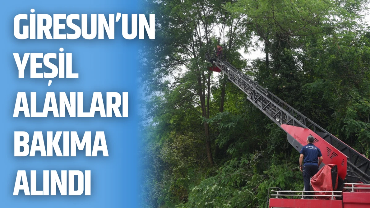 Giresun’un yeşil alanları bakıma alındı