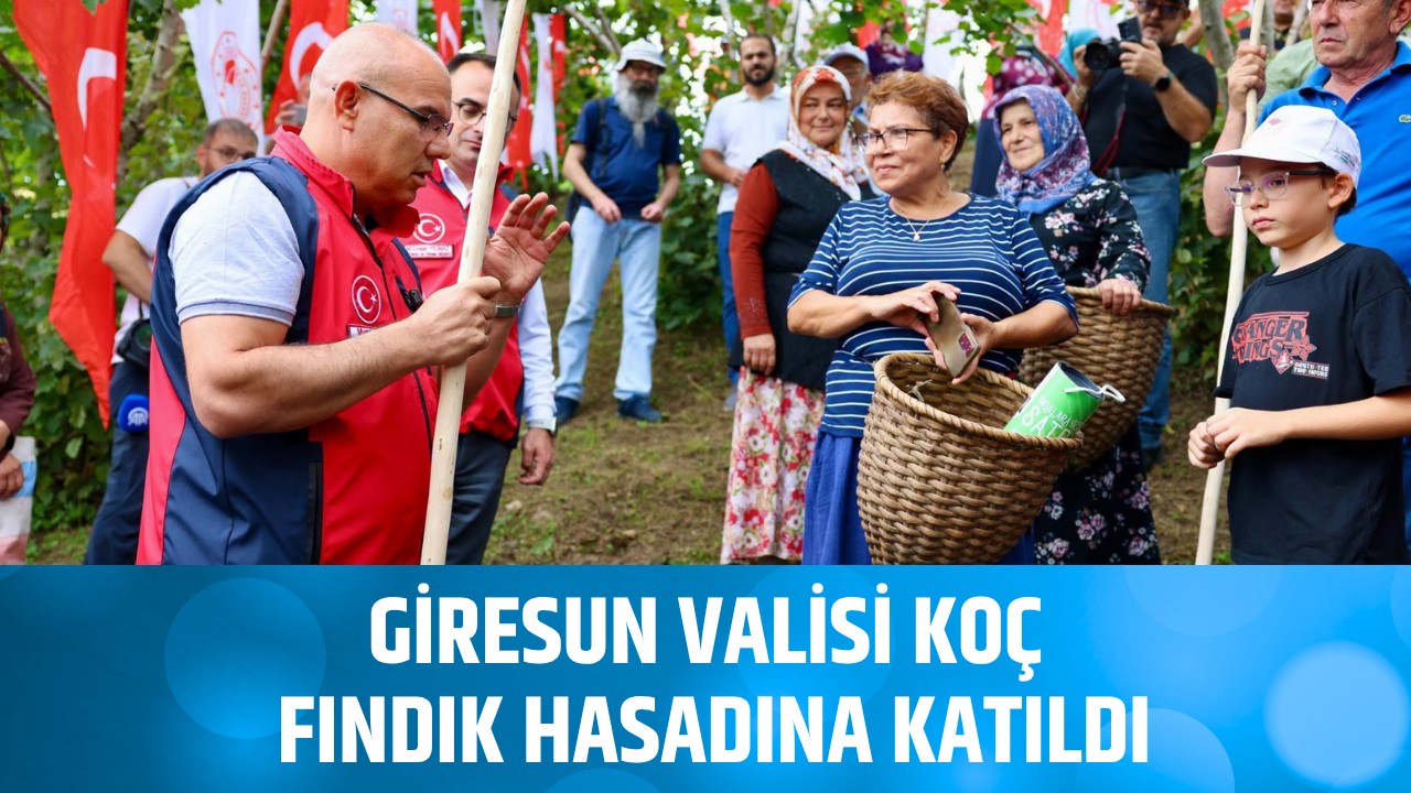 Giresun Valisi Koç fındık hasadına katıldı