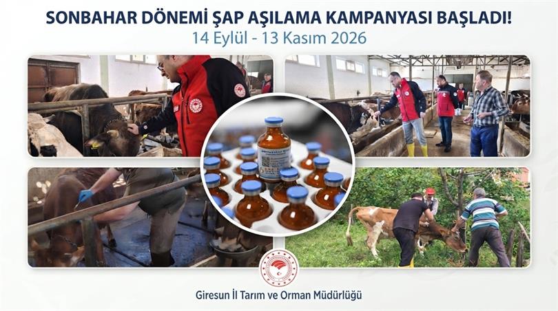 sap-asilama-kampanya-gorseli-113824