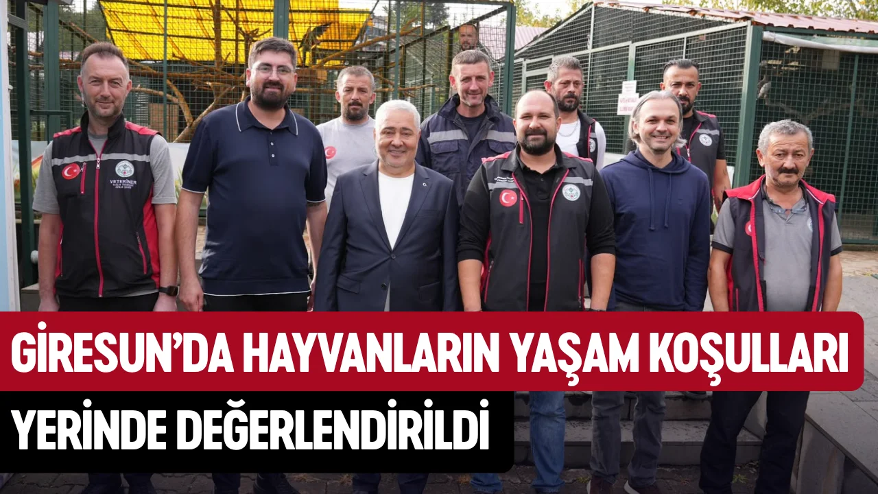 Giresun’da hayvanların yaşam koşulları yerinde değerlendirildi