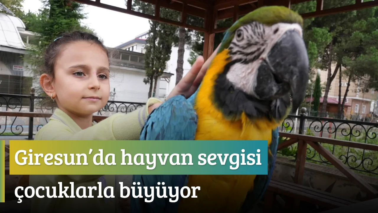 Giresun’da hayvan sevgisi çocuklarla büyüyor