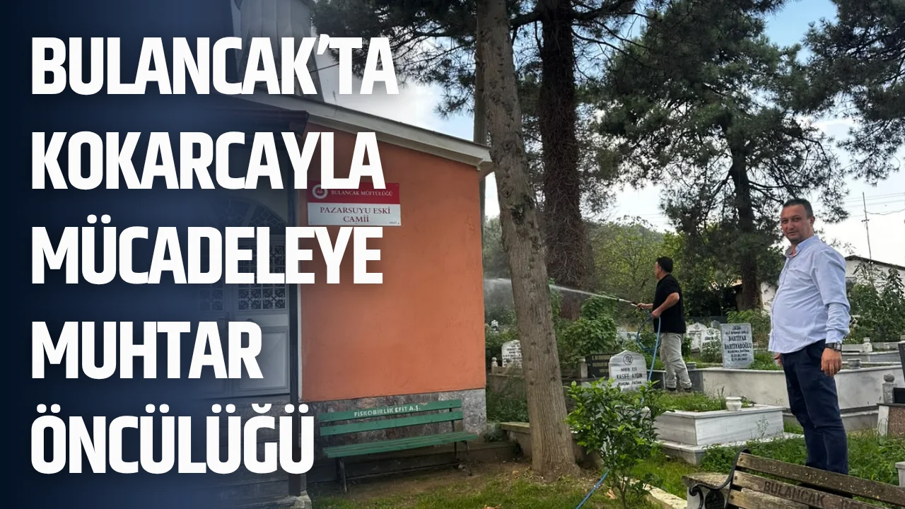 Bulancak’ta kokarcayla mücadeleye muhtar öncülüğü
