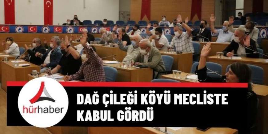 Dağ çileği köyü mecliste kabul gördü