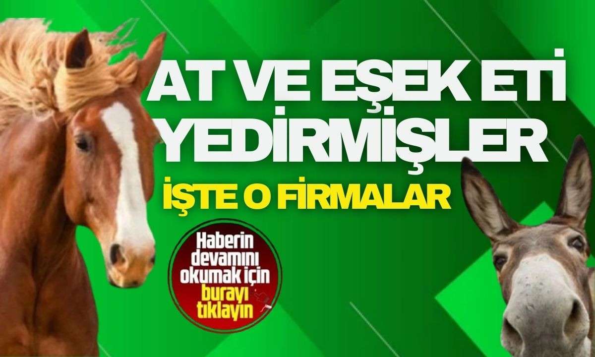 At ve eşek eti skandalı! At ve eşek eti yedirmişler 