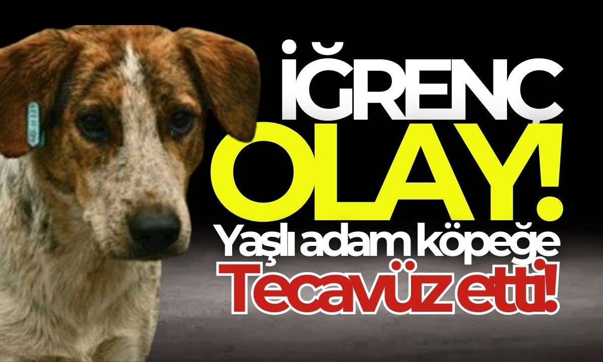 İğrenç dolu olay Yaşlı adam, köpeğe tecavüz etti!