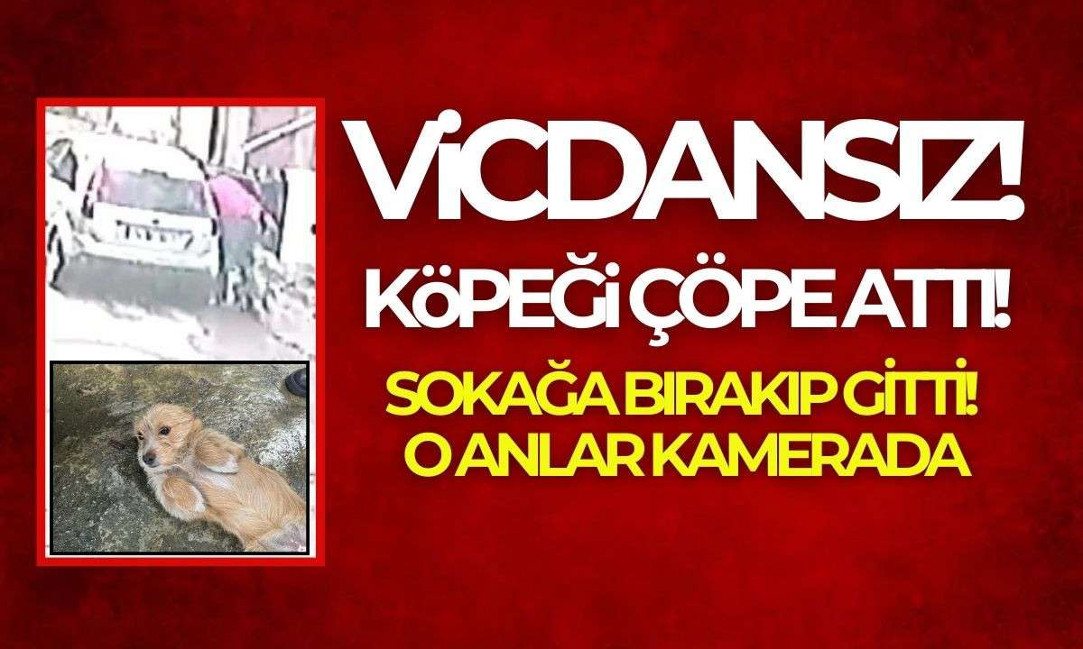 Vicdansız köpeği önce çöpe attı köpeğini sokağa bırakıp gitti!