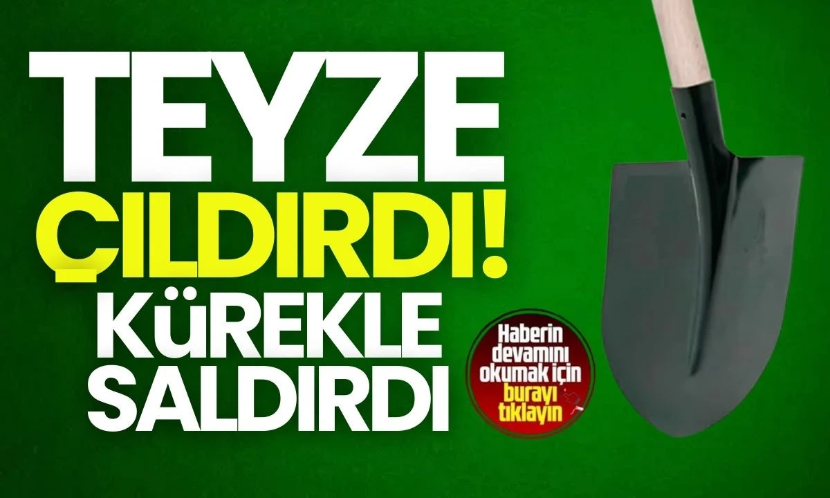 Sinir krizi geçirip kürekle saldırdı, komşusunu darp etti! 