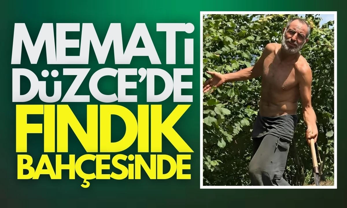 Gürkan Uygun'un Düzce'deki fındık bahçesi ziyareti
