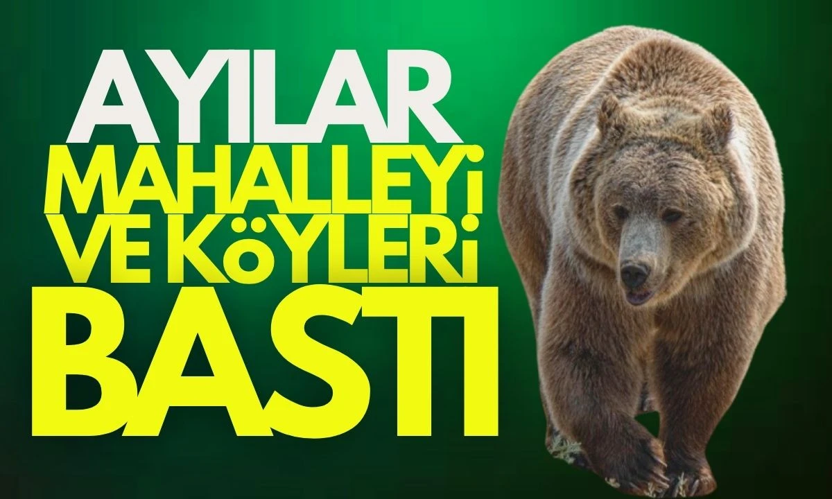 Komşuda Ayılar mahalleyi ve köyleri bastı! 